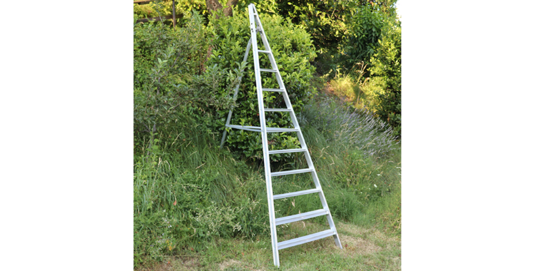 Jarni rez ovocnych stromu StavUR